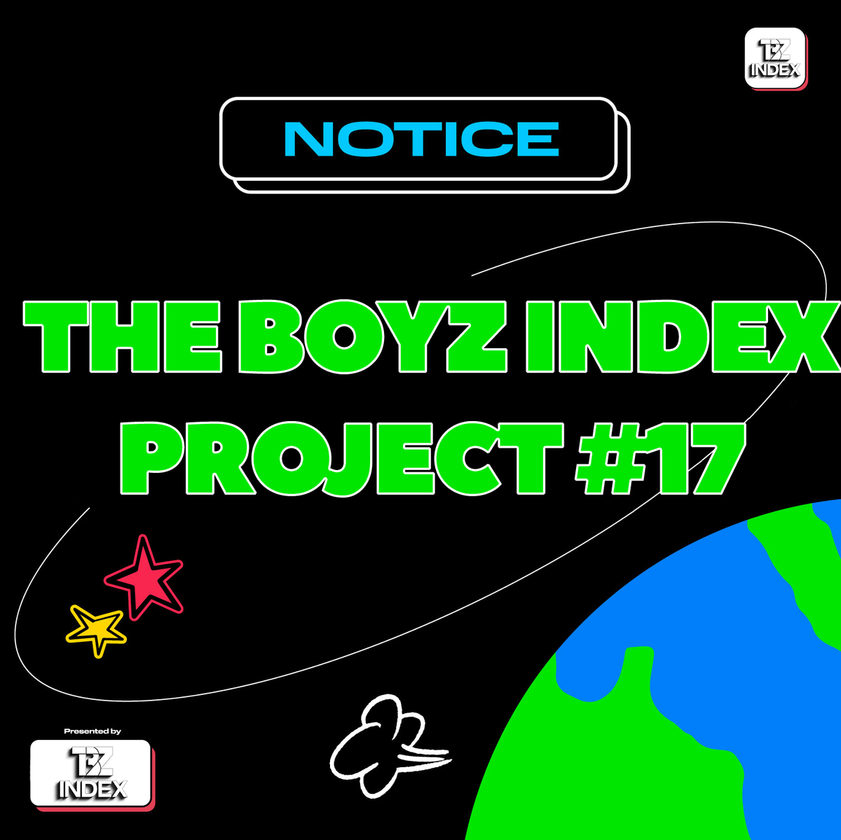 THE BOYZ INDEX - PROJECT #17