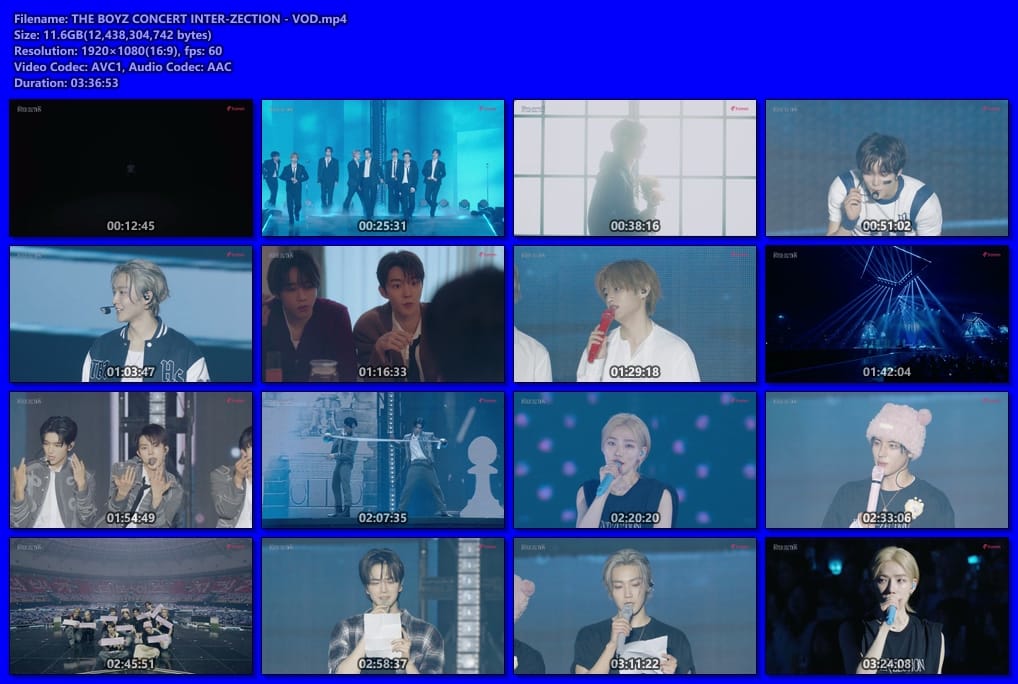 THE BOYZ CONCERT INTER-ZECTION - VOD