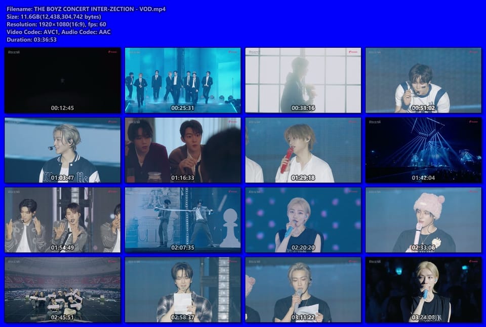 THE BOYZ CONCERT INTER-ZECTION - VOD